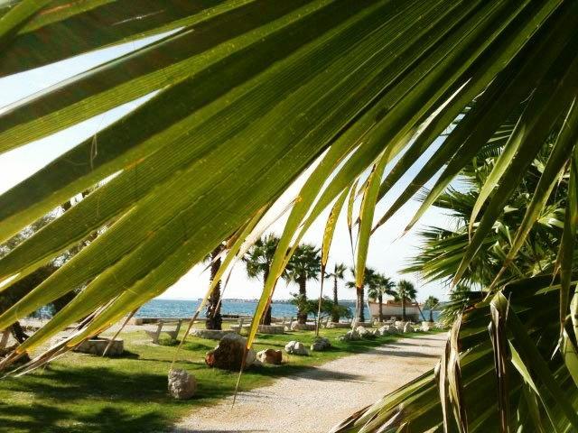 Deby Beach House Vir Εξωτερικό φωτογραφία